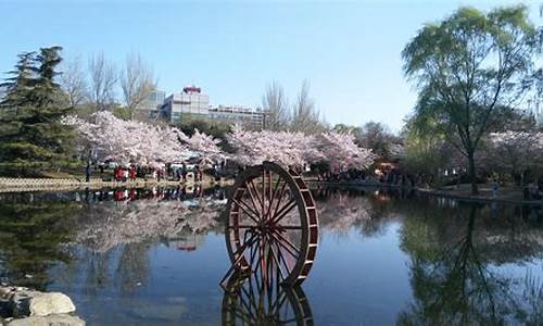 北京玉渊潭公园 住宿_北京玉渊潭公园 住宿价格